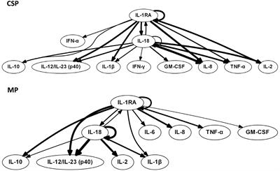 Machine Perfusion of Porcine Livers with Oxygen-Carrying Solution Results in Reprogramming of Dynamic Inflammation Networks